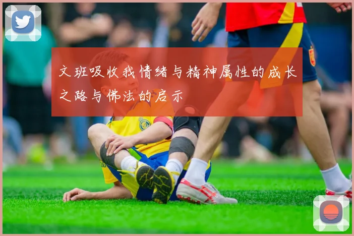 文班吸收我情绪与精神属性的成长之路与佛法的启示